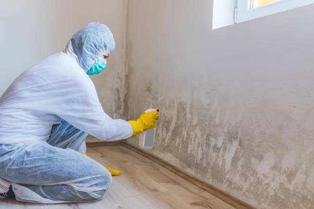Licensed Mold Testing service in Wood-Ridge, NJ - WQB Mold Removal
