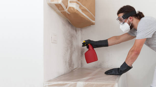 Professional Mold Testing technician working in Wood-Ridge, NJ