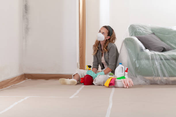 Reliable Mold Testing contractor in Wood-Ridge, NJ by WQB Mold Removal